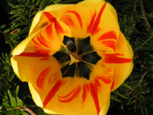pict0003.jpg