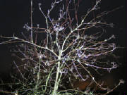 pict0012.jpg