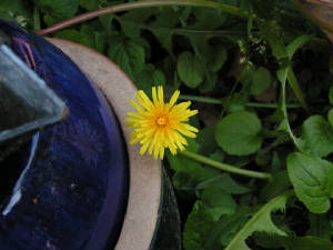 pict0033.jpg
